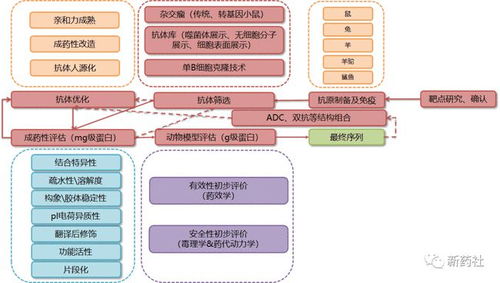 史上最全药品研发全流程图总结